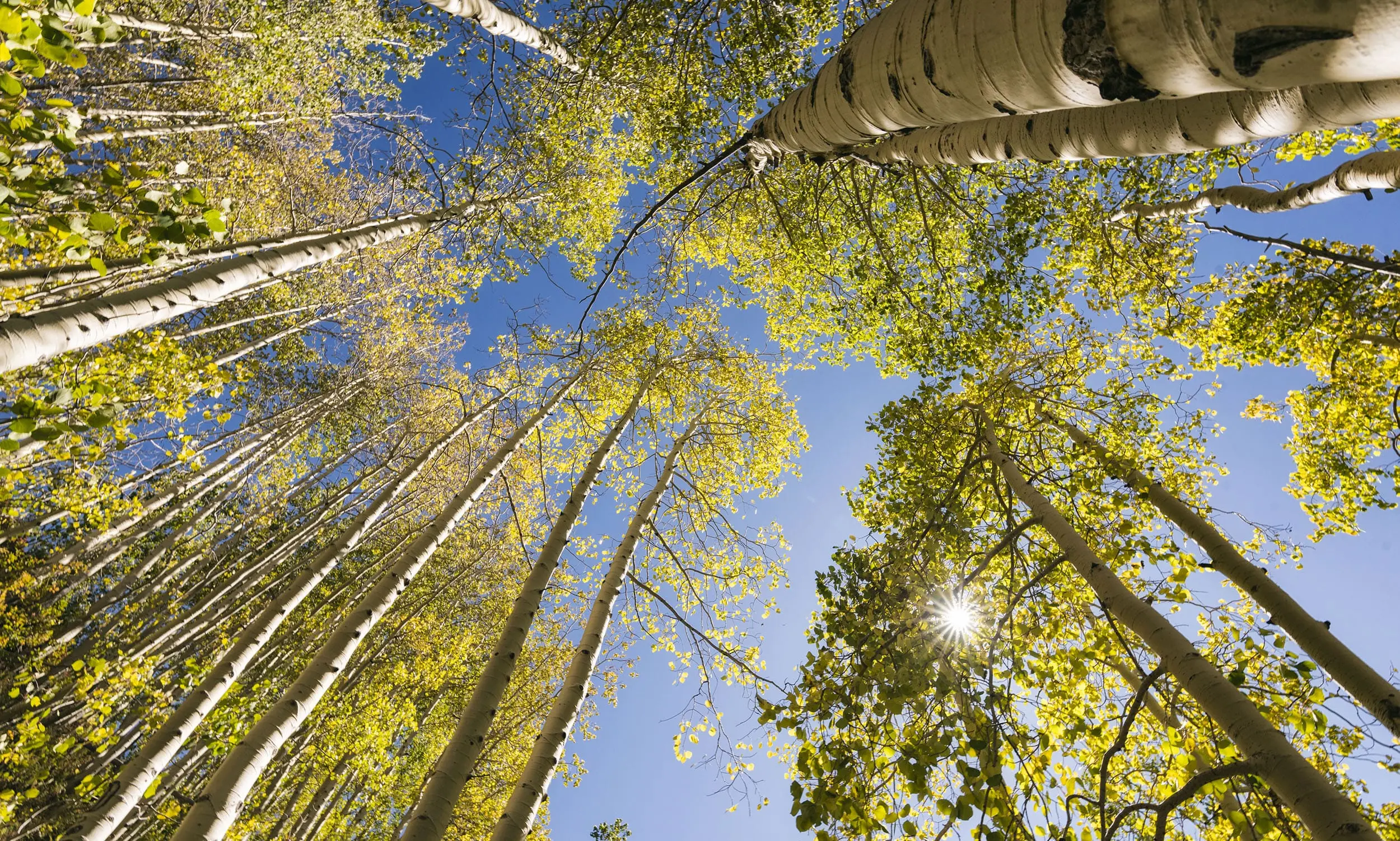 aboutbg2 Experience unlocks opportunity IMAGE